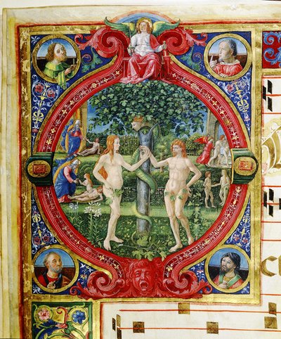 Immagine sconosciuta da Zanobi di Benedetto Strozzi
