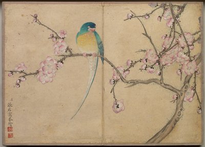 Album da Scrivania: Dipinti di Fiori e Uccelli (Uccello con Fiori di Pruno) da Zhang Ruoai
