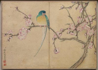 Album da tavolo: Dipinti di fiori e uccelli (Uccello con fiori di prugno) da Zhang Ruoai