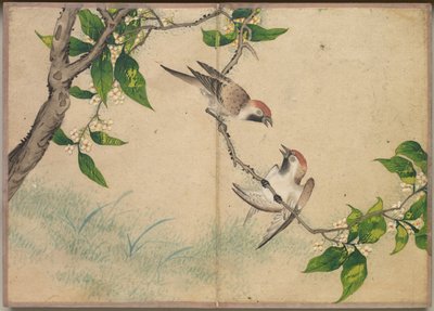 Album da Scrivania: Dipinti di Fiori e Uccelli (Passeri che Chiacchierano) da Zhang Ruoai