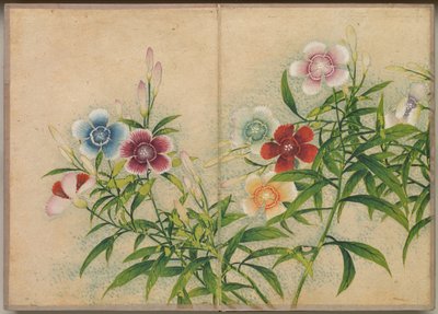 Album da Scrivania: Dipinti di Fiori e Uccelli (Garofani) da Zhang Ruoai