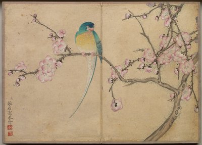 Album da scrivania: Dipinti di fiori e uccelli Uccello con fiori di pruno da Zhang Ruoai