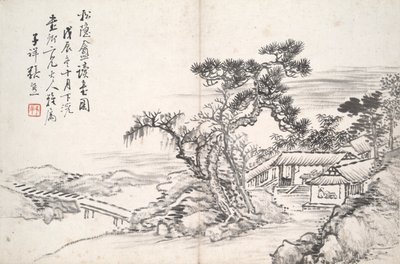 Lettura allo Studio del Pino Secluso (Song yin an) da Zhang Xiong