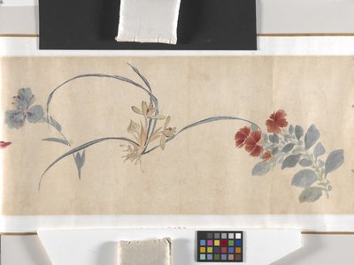 Fiori colorati da Zhimian Zhou