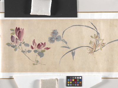 Fiori colorati da Zhimian Zhou