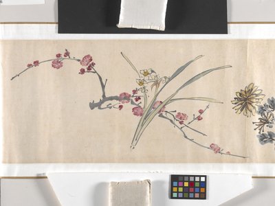 Fiori colorati da Zhimian Zhou