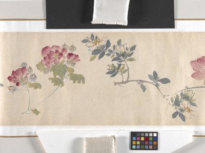 Fiori colorati da Zhimian Zhou