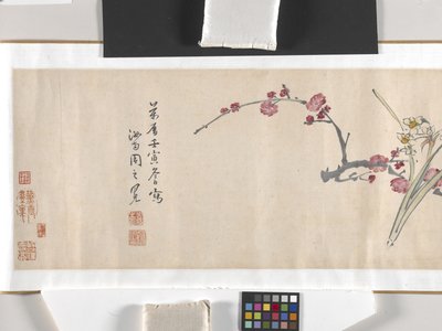 Fiori colorati da Zhimian Zhou