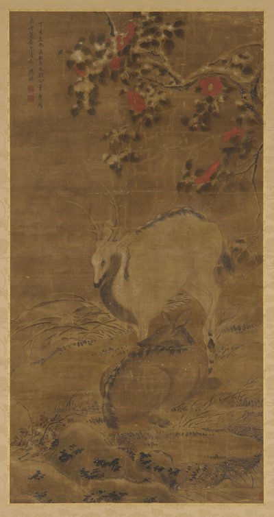 Un cervo, una cerva e camelie rosse nella neve da Zhou Yuan