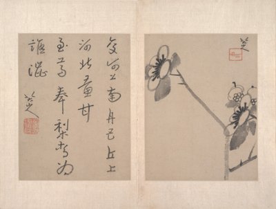  da Zhu da (attr.to) Bada Shanren