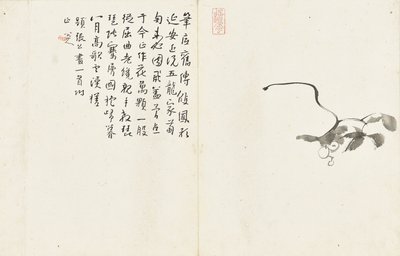 Paesaggi e fiori, album di sei fogli da Zhu da Bada Shanren