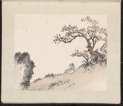 Paesaggi in miniatura, databili al 1751-54 (album di otto fogli; inchiostro e colore su carta) da Zongcang Zhang