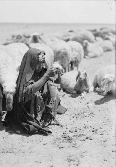 Una giovane pastorella beduina che fila vicino a Beersheba da . .