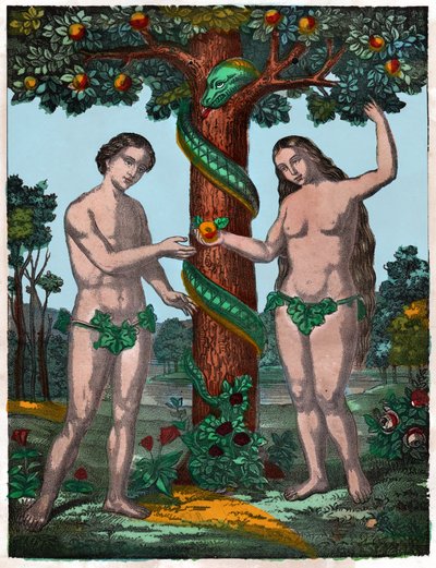 Adamo ed Eva (incisione) da . .