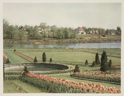 Scena suburbana americana, c. 1928 da John Pardon