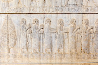 Rilievo antico degli Achemenidi; delegazione degli Ioni; Palazzo Apadana; sito archeologico; antica città persiana di Persepoli; Patrimonio dell