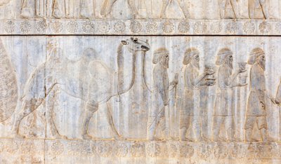Rilievo antico degli Achemenidi; delegazione dei Parti con cammello; Palazzo Apadana; sito archeologico; antica città persiana di Persepoli; Patrimonio dell