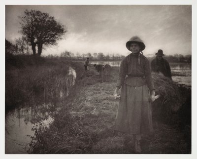 Agricoltura arabile, raccolta 