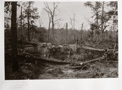 Campo di battaglia di New Hope Church, Georgia, USA da Ferdinand Georg Waldmuller