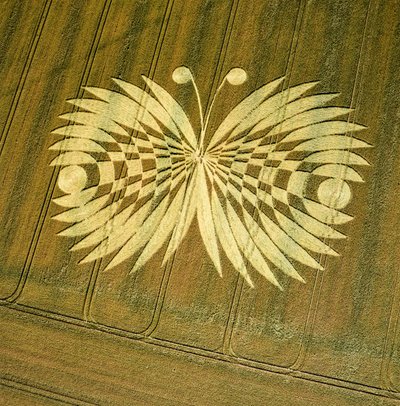 Cerchio nel grano in un campo di grano, Hailey Wood, Ashbury, Oxfordshire da Ferdinand Georg Waldmuller