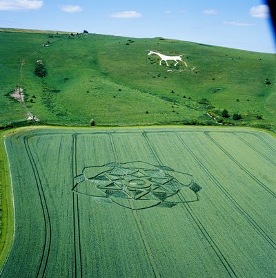 Cerchio nel grano in un campo di grano, Milk Hill, Alton Priors, Vale of Pewsey, Wiltshire da Ferdinand Georg Waldmuller