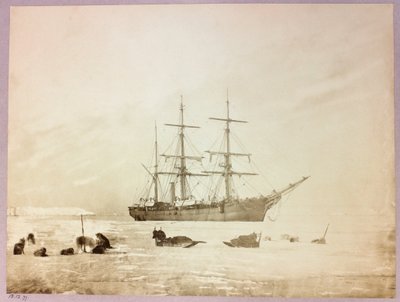 Spedizione nell