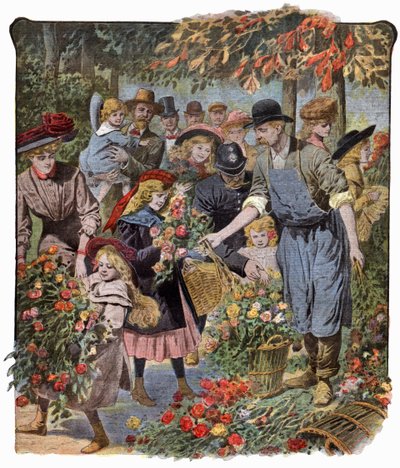Distribuzione di fiori da . .