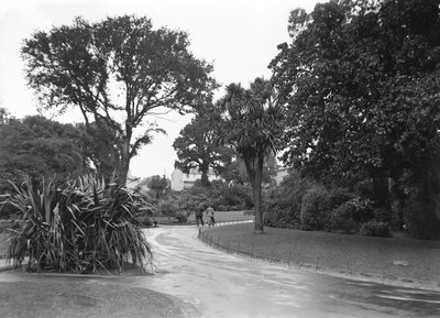 Giardini a Penzance, Cornovaglia da John Pardon