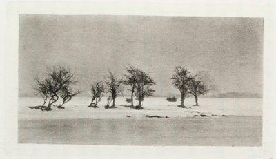 Alberi di spino nodosi da Frederick (attr. to) Barnard