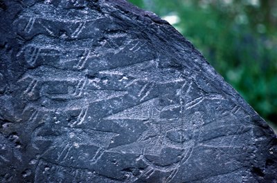 Dettaglio delle incisioni rupestri nel Parco Nazionale di Naquane, Valcamonica da Isabel Redie