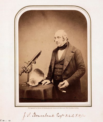 James Scott Bowerbank, geologo britannico da Ferdinand Georg Waldmuller