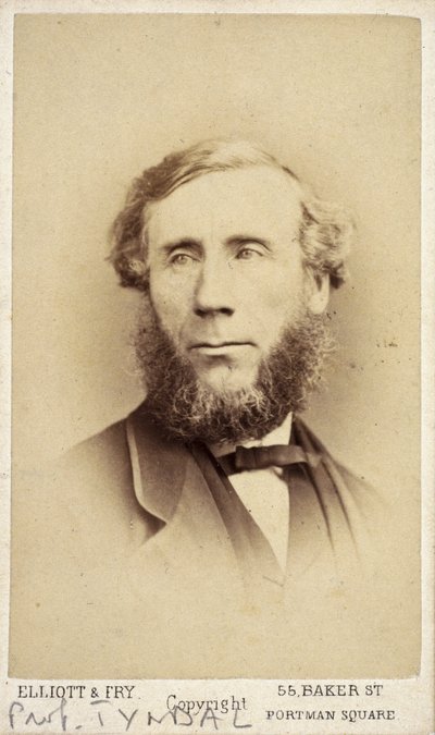 John Tyndall, fisico irlandese, c. 1875 da Frederick (attr. to) Barnard