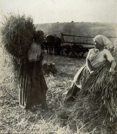 Le Mietitrici, circa 1900 da Frederick (attr. to) Barnard