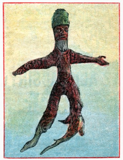 Mandragora da . .