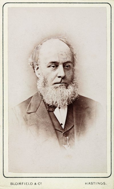 Mr Hackett, segretario della General Steam Navigation Company da Frederick (attr. to) Barnard