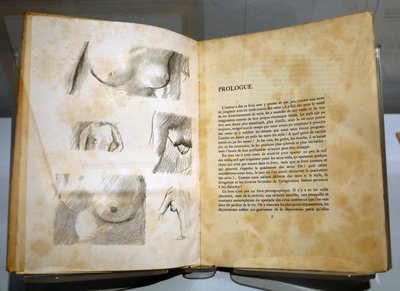 Museo degli Impressionismi, Giverny, Francia. Libro di Ramon Gomez de la Serna con disegni di Pierre Bonnard. Seni. da . .