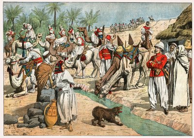 Oasi nel deserto del Sahara da . .