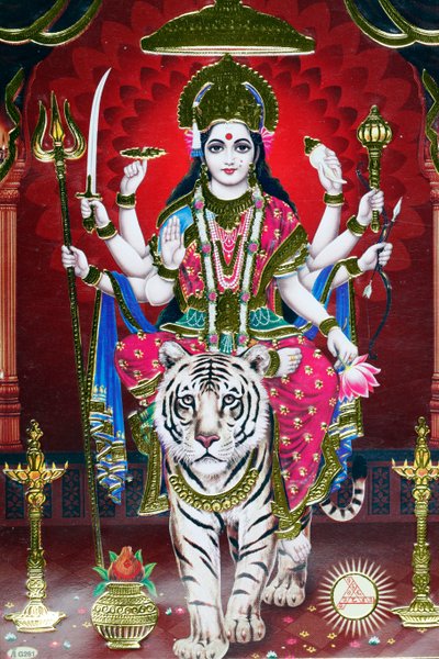 Immagine della dea indù Durga su una tigre. da . .
