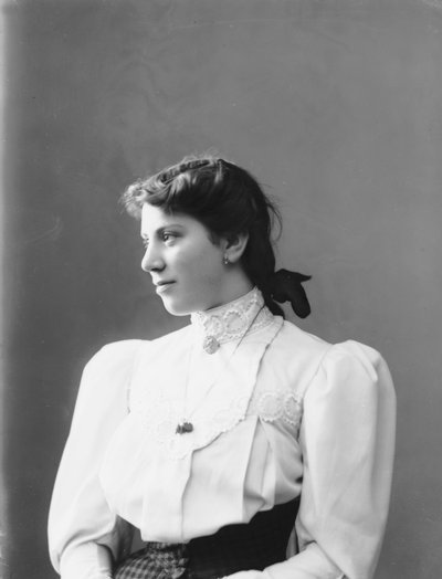 Ritratto della signora Bradley da Henry Charles Fehr