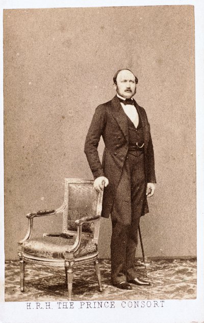 Principe Alberto, consorte della regina Vittoria, c 1860 da Frederick (attr. to) Barnard
