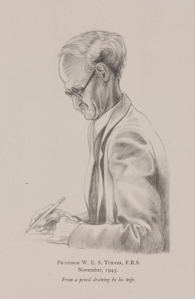 Professor W E S Turner, novembre da Frederick (attr. to) Barnard