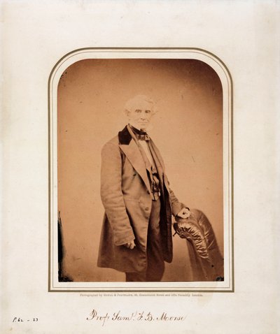 Samuel F B Morse, artista americano e inventore del codice Morse, c. 1870 da Frederick (attr. to) Barnard
