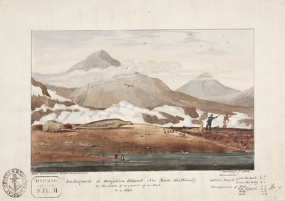 Leopardi marini a Deception Island, Nuove Shetland del Sud, 7 gennaio da John Pardon