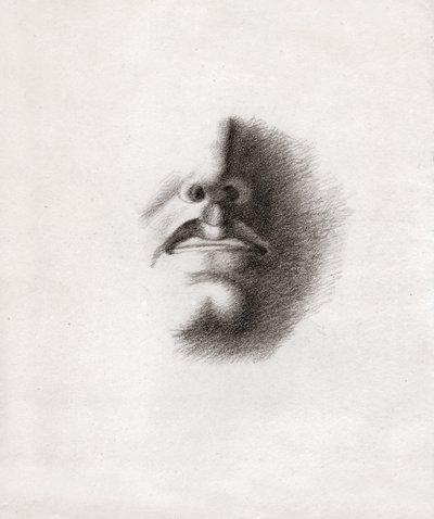 Studio per il volto di un uomo: bocca e naso. circa 1830 (disegno) da . .