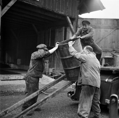 Svizzera Seconda Guerra Mondiale Sostanze Esistenti da Frederick (attr. to) Barnard