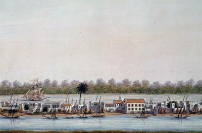 Veduta di Saint Louis, Senegal da William Walcutt
