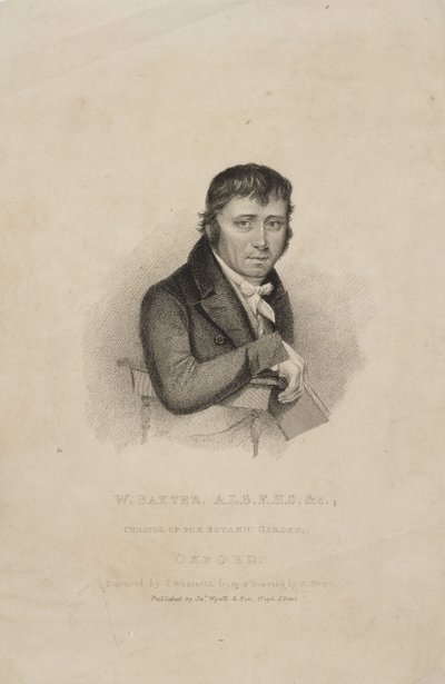 William Baxter, ALS FHS, botanico britannico, c 1820s da Frederick (attr. to) Barnard