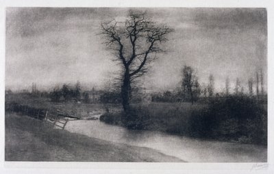 Paesaggio invernale: albero solitario presso una curva di un fiume da Ferdinand Georg Waldmuller