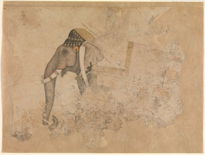 Hashim. Elefante e Cavaliere. ca. 1640 Metropolitan Museum of Art, New York da Hashim