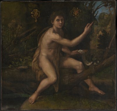 San Giovanni Battista da Raphael